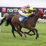 winning-race-horse